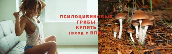 кокаин Нефтекумск