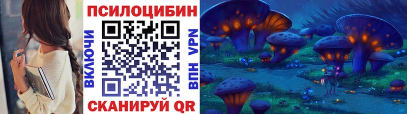 blacksprut как войти  Старая Русса  Псилоцибиновые грибы ЛСД  что такое  